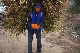 乡情散文：烧柴火做饭的那个年代图片