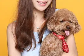 最“命短”的五种狗，能陪伴你的时间也许是几年图片