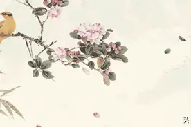 玩转益智器具绽放思维光彩——记嘉陵小学参加利州区第二届思维运动会选拔赛图片