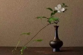 "一砂一极乐，一念一清净"，从"枯山水"管窥日本侘寂文化图片