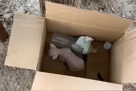 箱子里放着一只无毛猫，并且还有一张字条，看完内容后觉得困惑图片