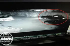 过于猖狂，5人组团浩浩荡荡入室盗窃，开着皮卡直接搬运图片