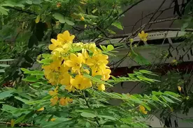 你不知为什么43%信用卡案件法院不能执行？务必看完这16条原因图片