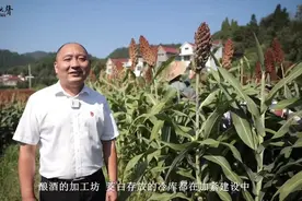 “早上好”书记陈重良：当好乡村发展领路人图片
