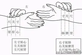 望闻问切系列第8篇：浮脉、沉脉、迟脉、数脉、滑脉的科学机理图片