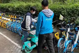 共享单车运维不打烊保障假日期间整洁、舒适的市容市貌图片