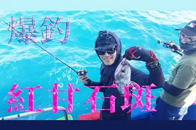 海上路亚，铁板爆钓红甘鱼，生饵收竿又钓石斑！