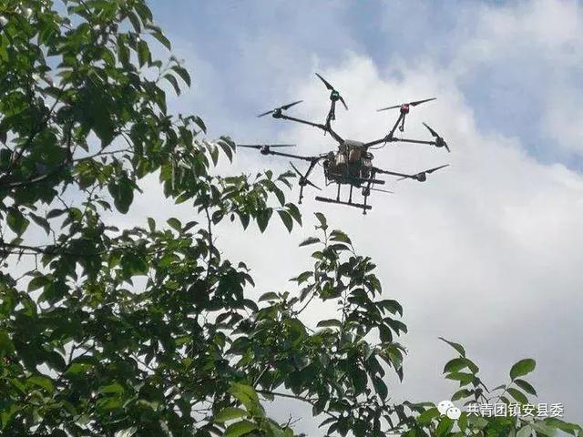镇安县首次开展核桃病虫害无人机飞防工作