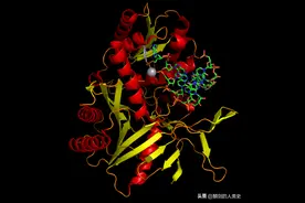 「地球生物全系列——从单细胞到人类」古细菌界—广古菌门图片