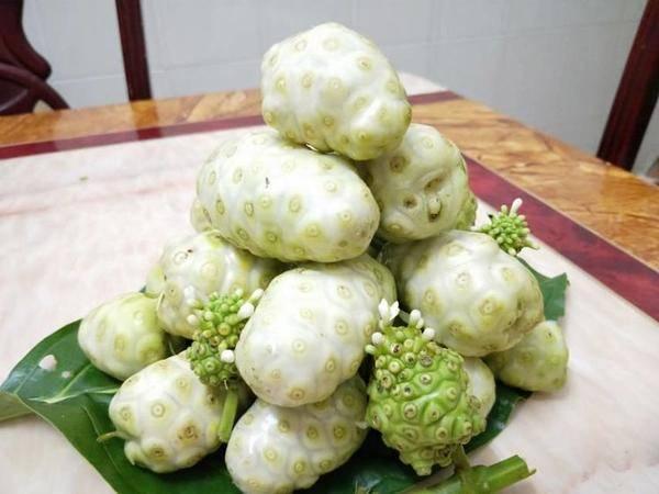 海南农业领军企业---东方嘉品源农业科技开发有限公司