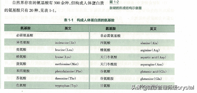孩子和成人蛋白氨基酸需求一样？营养师：被忽略的1种，促进发育
