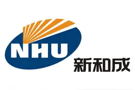 新和成投资分析-维生素茅图片