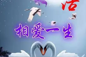 校园生活趣事囧事      三、在墙角转弯与女同学嘴碰嘴！图片