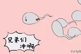 不孕？不良妊娠史？精液检查是常规图片