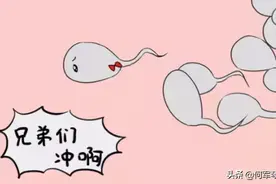 不孕？不良妊娠史？精液检查是常规图片