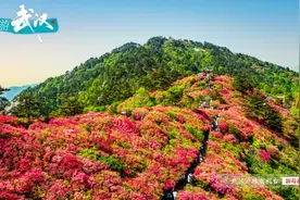 五一乐游武汉，蛮玩味！图片