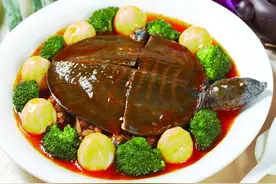 人参蒸甲鱼对安神，反胃、健忘、头痛、妇女崩漏、月经过多等功效图片