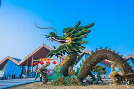 石家庄有一座湿地公园，免门票，面积比颐和园还多60万平方米图片