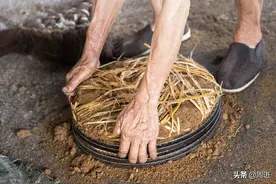 7旬老人的传统榨坊，人工榨出的菜油比机器榨出的菜油香味更浓图片