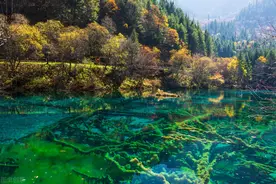 九寨沟，抹不掉的，水的记忆；黄龙，印在脑海之中的，水的彩池图片