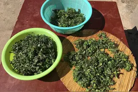 教你一招：蒸地菜（荠菜），乡野美味，好学，好做，好吃图片