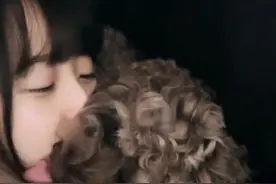 木村拓哉长女与爱犬亲吻，惹人羡慕，金泰亨EXO允儿的狗都是赢家图片