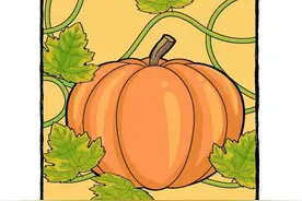 RAZ分级读物aa级——《It is fall》图片