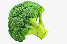 金斯瑞科普｜哈佛研究力证西兰花含抗癌分子实锤图片