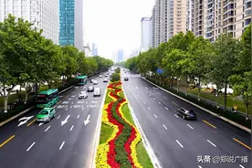 金秋换新颜！郑州这条路美爆了图片