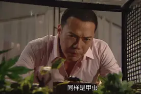 听我的，别学王思聪养柯尔鸭图片
