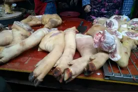 买猪蹄，分清前蹄和后蹄，老屠夫告诉你6大区别，买错了不好吃图片