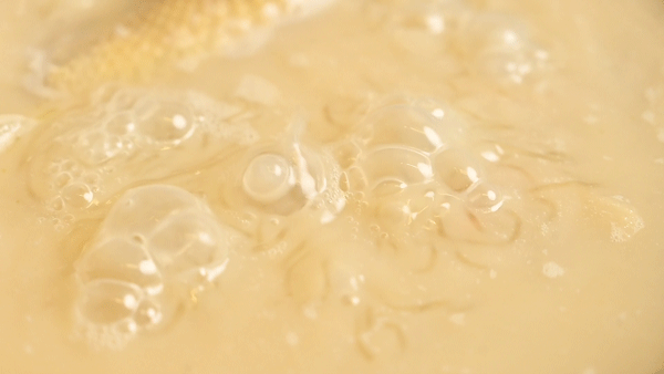 奶白色鱼翅花胶汤 2026年花胶鱼翅汤的做法