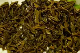 隔夜茶叶渣养花，要这么处理，否则少做1点就会让土壤长毛结块图片