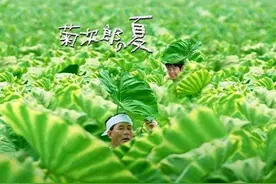 《菊次郎的夏天》观后感图片