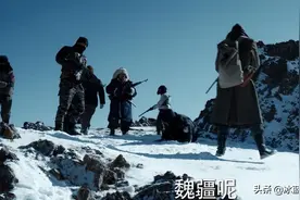 秦昊决策失误，痛失搭档，《猎狼者》展现了一幅西部林区浮世绘图片