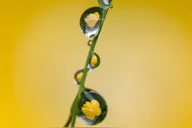 这里很多美美的照片都是手机拍的，你信吗？对，就是那么简单图片