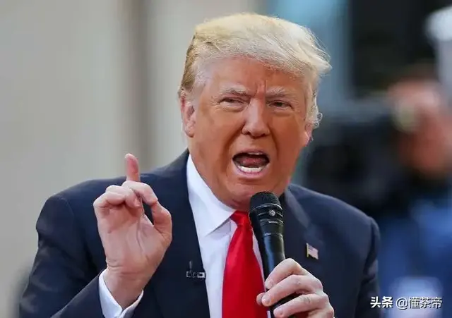 你喝的茶叶上是有毛毛吗？那是茶毫还是霉变？