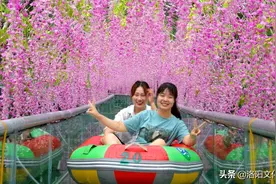 盘点老君山那些最美打卡地，你去过几个？图片