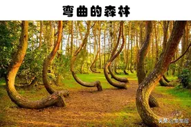 世界上真实存在的5个极其神秘且与世隔绝的地方图片