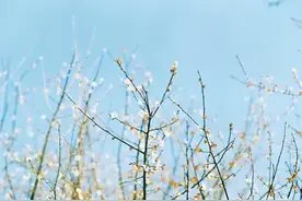 如果有一天，你发现身边的亲人没有人情味，请做好以下4件事图片