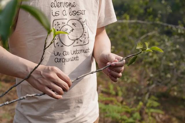 从藏茶客角度：只靠喝，能选出一款有存放潜力的茶吗？（下）