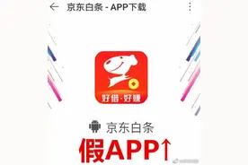 被京东白条app骗万元# 警惕“李鬼”App图片