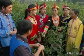 百年党史巾帼红 | 兰念瑛：畲族“金凤凰”图片