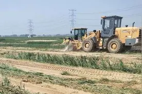 河北大名回应“120亩麦地被强行推平”：责令停止集体土地收回视频封面