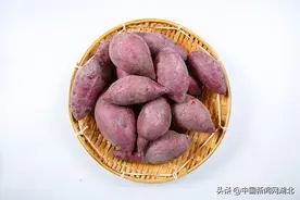 湖北宜城莺河村紫薯丰收 网络直播助农民增收图片