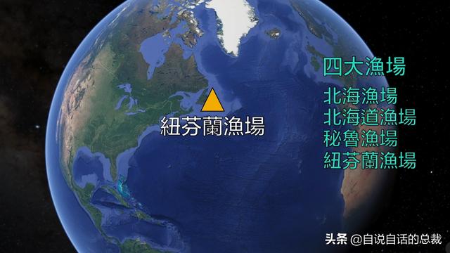 蛤、蚶、蛏、蚝、蚬有什么区别？这是一群美味海怪与人类的故事