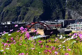 四川旅游：稻城香格里拉小镇走马观花行（图）图片