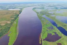 44000年前远古生物重现地球，北极升温，最担心的是什么？图片