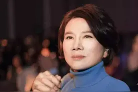 银隆，董明珠的黄粱一梦图片