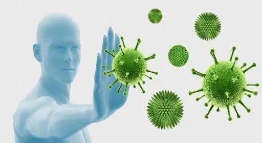 蛋白质如何提高免疫力？如何补充足够蛋白质？